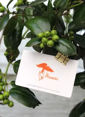 $250 Online Gift Card