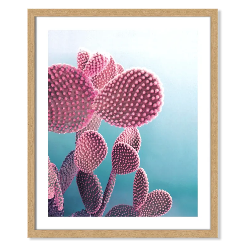 Framed Print, Candy Cactus