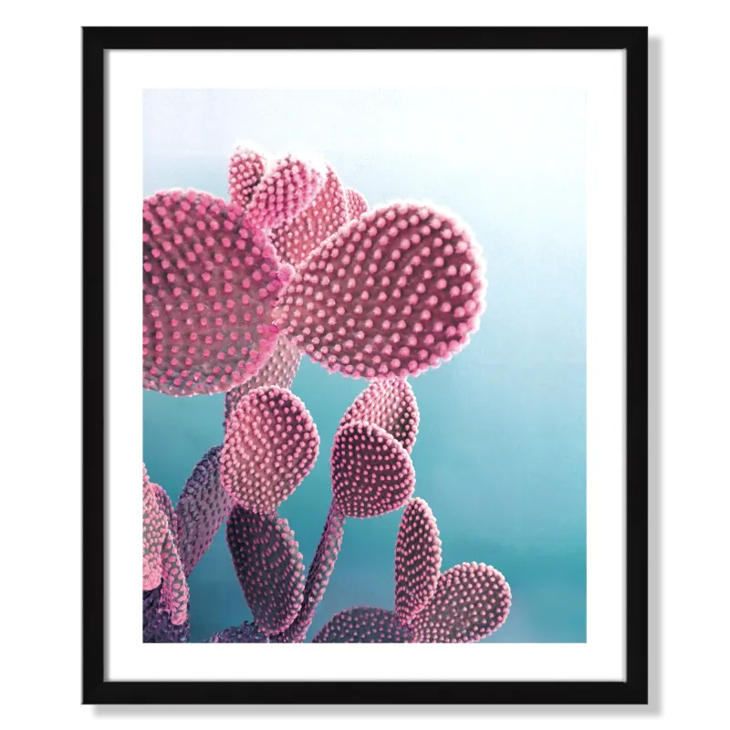 Framed Print, Candy Cactus